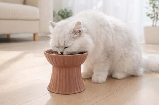 Mashiko ware pet food bowl, pink
