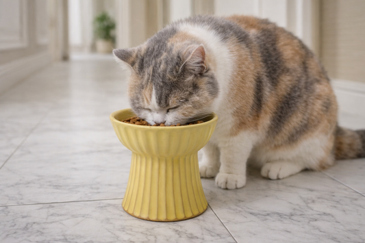 Mashiko ware pet food bowl, yellow